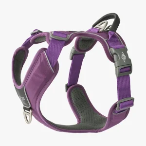 Comfort Walk Pro 3.0 Harness Nieuw | Dog Copenhagen Cheap