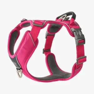 Comfort Walk Pro 3.0 Harness Nieuw | Dog Copenhagen Cheap