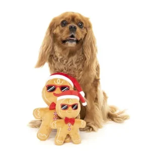 Xmas Toy - Mr. Gingerbread | Fuzzyard Cheap