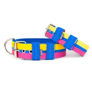 Halsband Blue/Pink/Yellow | Gallus Cheap