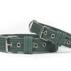 Halsband Groen / Wit | Gallus Best Sale