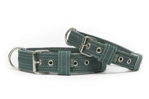 Halsband Groen / Wit | Gallus Best Sale