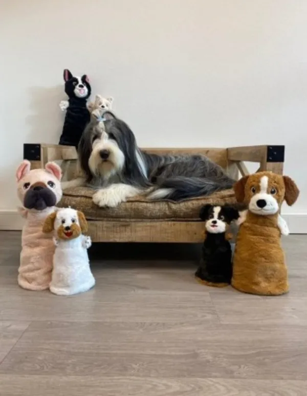 Gorpets Gor Flips Olive & Oscar | The Dog Lounge Shop