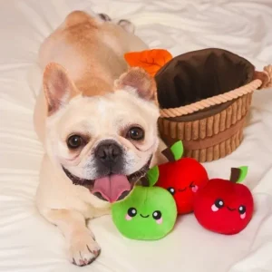 Hugsmart Autumn Tailz Apple Basket | The Dog Lounge New