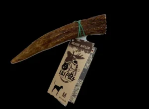 Moose Antler | I&I Pets Online