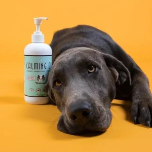 Calming Oil Supplement | Natural Dog Company Clearance