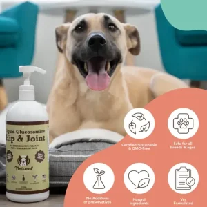 Hip & Joint Oil | Natural Dog Company Shop