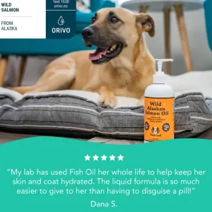 Wild Alaskan Salmon Oil | Natural Dog Company Outlet