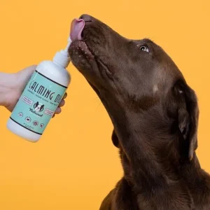 Calming Oil Supplement | Natural Dog Company Clearance