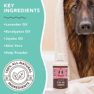 Itchy Dog Shampoo | Natural Dog Company Store