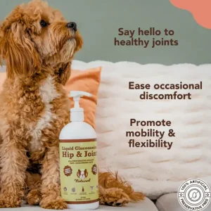 Hip & Joint Oil | Natural Dog Company Shop