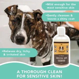 Sensitive Skin Oatmeal Shampoo | Natural Dog Company Cheap