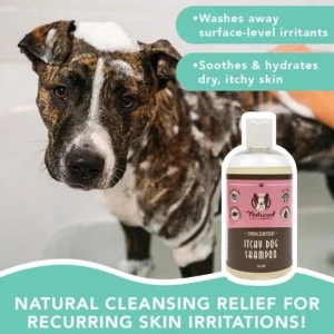 Itchy Dog Shampoo | Natural Dog Company Store