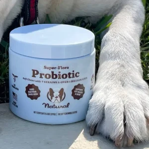 Super-Flora Probiotic Supplement | Natural Dog Company Store