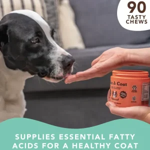 Skin And Coat Supplement | Natural Dog Company Outlet