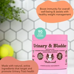 Urinary & Bladder Supplement | Natural Dog Company Flash Sale