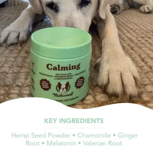 Calming Supplement | Natural Dog Company Cheap