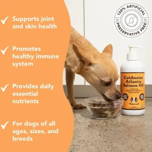 Coldwater Atlantic Salmon Oil | Natural Dog Company Sale