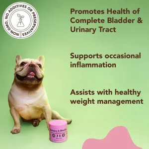 Urinary & Bladder Supplement | Natural Dog Company Flash Sale