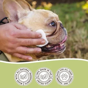 Wrinkle Wipes | Natural Dog Company Online