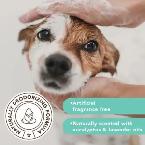 Itchy Dog Shampoo | Natural Dog Company Store