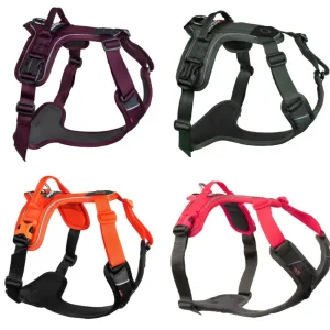 Ramble Harness | Non Stop Dogwear Cheap