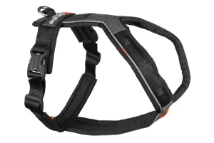 Line Harness 5.0 | Non Stop Dogwear Hot