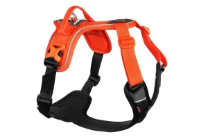 Ramble Harness | Non Stop Dogwear Cheap