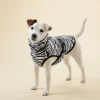 Cool & Bug Vest For Dogs | Paikka Store