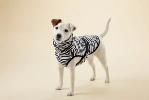 Cool & Bug Vest For Dogs | Paikka Store