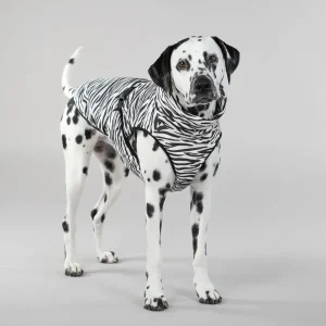 Cool & Bug Vest For Dogs | Paikka Store