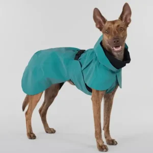 Visibility Raincoat Emerald | Paikka Flash Sale