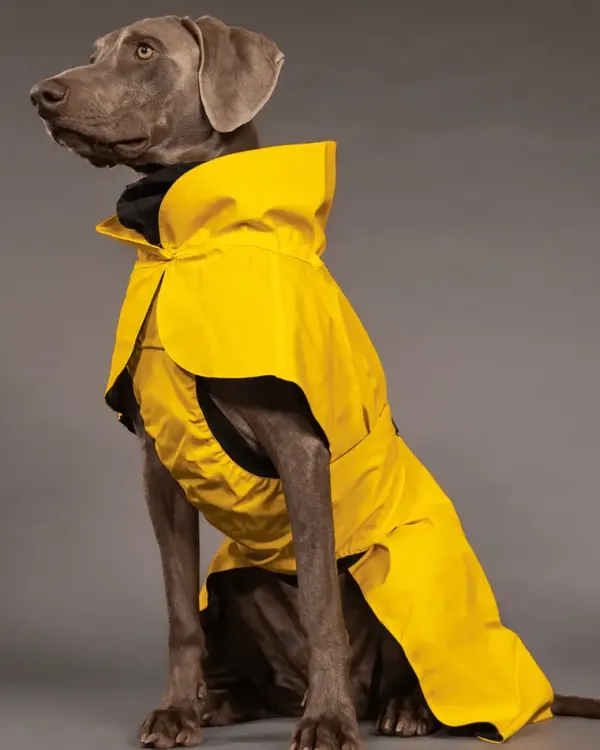 Visibility Raincoat Lite Yellow | Paikka Hot