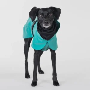 Visibility Raincoat Emerald | Paikka Flash Sale