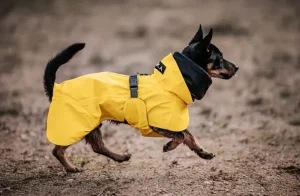 Visibility Raincoat Lite Yellow | Paikka Hot