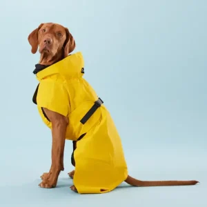 Visibility Raincoat Lite Yellow | Paikka Hot