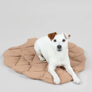 Playmat For Dogs - Pinecone | Paikka Cheap