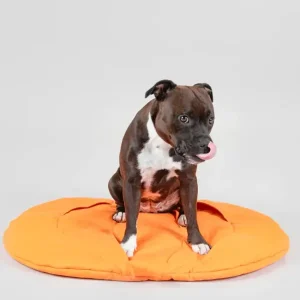 Playmat For Dogs - Pumpkin | Paikka Outlet