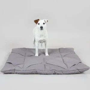 Playmat For Dogs - Square Grey | Paikka Flash Sale