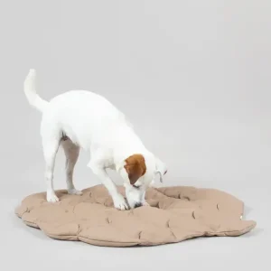 Playmat For Dogs - Pinecone | Paikka Cheap