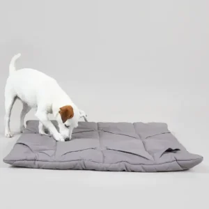 Playmat For Dogs - Square Grey | Paikka Flash Sale