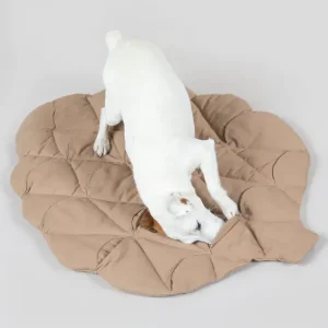 Playmat For Dogs - Pinecone | Paikka Cheap