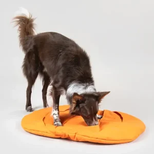 Playmat For Dogs - Pumpkin | Paikka Outlet