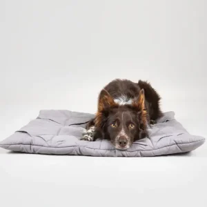 Playmat For Dogs - Square Grey | Paikka Flash Sale