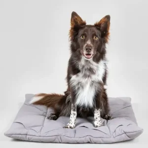 Playmat For Dogs - Square Grey | Paikka Flash Sale