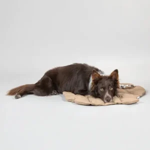 Playmat For Dogs - Pinecone | Paikka Cheap