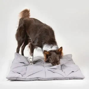 Playmat For Dogs - Square Grey | Paikka Flash Sale