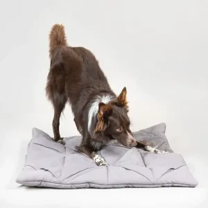 Playmat For Dogs - Square Grey | Paikka Flash Sale