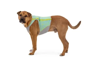 Swamp Cooler Zip Vest | Ruffwear Online