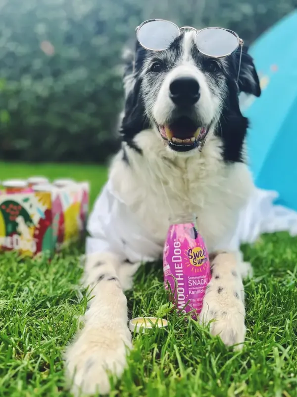 Limited Edition Sweet Summer (Konijn) | Smoothiedog Best Sale